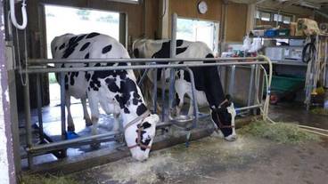 観光スポット / 9