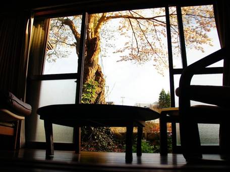 慶村 梶原邸 / 1