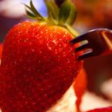 フルーフ・デゥ・セゾン(フルーフデゥセゾン)