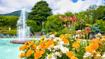 箱根強羅公園 / 5