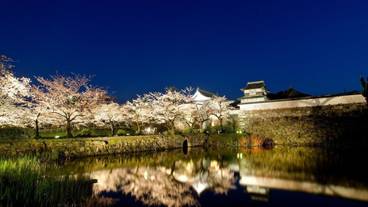 観光スポット / 14