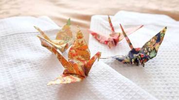 客室の設備とサービス / 8