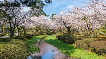 観光スポット / 18