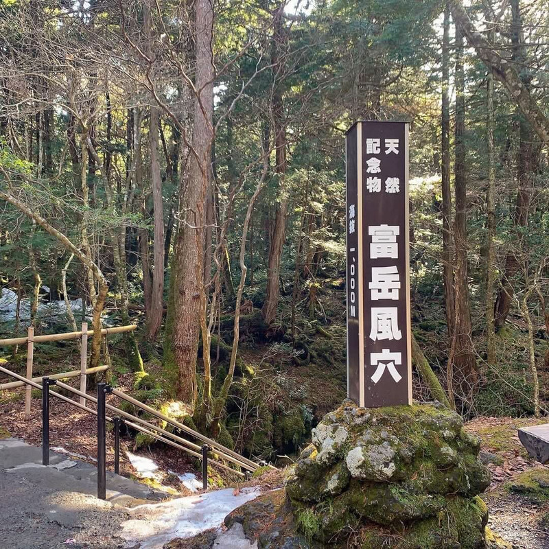 momochan__tripさんの写真 / 3