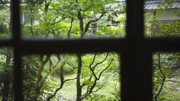 部屋からの景観 / 36