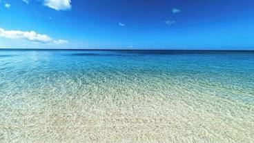 観光スポット / 16