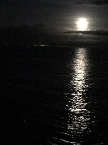 海を見渡す圧倒的な眺望の老舗旅館4246464