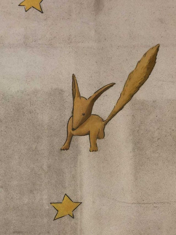 c.h_i_k.aさんの写真 / 2