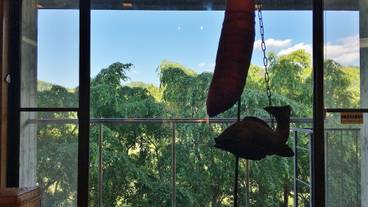 マウンテン ビュー / 24