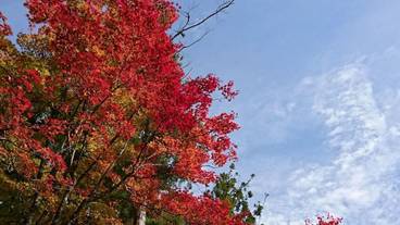 施設の敷地 / 16