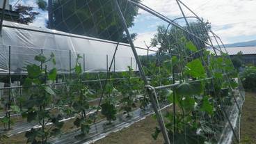 施設の敷地 / 16