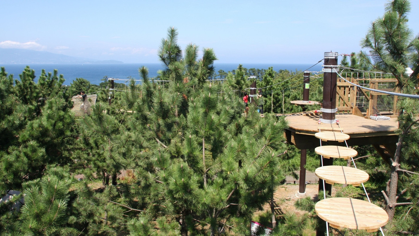 日常をリフレッシュする島時間4280096