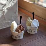 アリマ ジェラテリア スタジオーネ（アリマジェラテリアスタジオーネ）