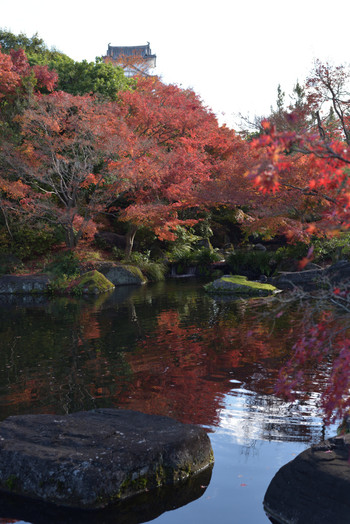 好古園 / 兵庫県3647167