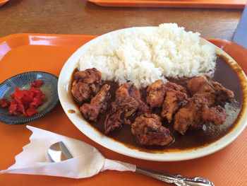 「シーフレンド」料理 1159996 唐揚げカレー