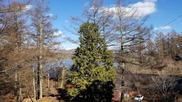 レイク ビュー / 16