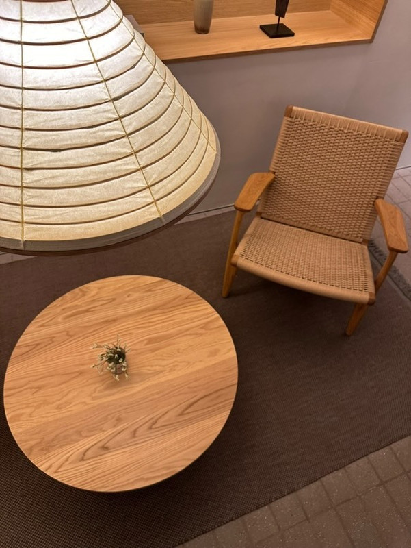 newn0819さんの写真 / 2