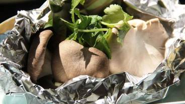 食事・飲み物 / 22