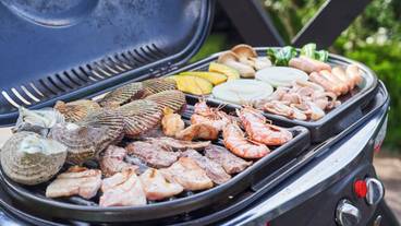 バーベキュー / ピクニック エリア / 11