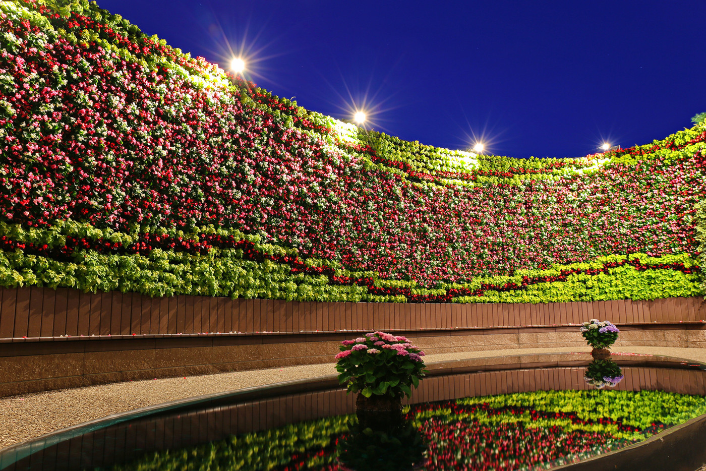 夜のフラワーラグーン