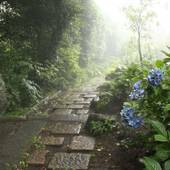 強羅温泉 翠光館（神奈川県 旅館） / 3