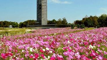 Hamanako Garden Park / 2