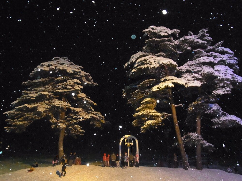 スノー スポーツとスキー