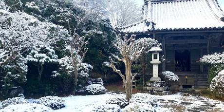 竹林院群芳園