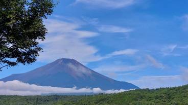 ランド ビュー / 23