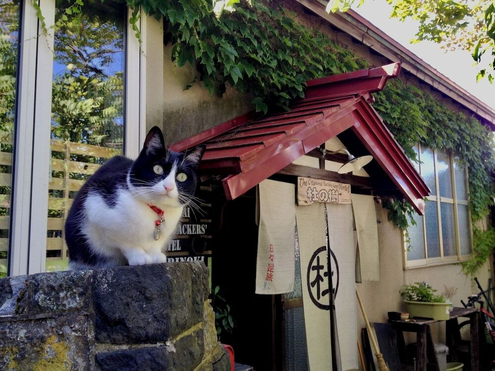 施設の正面