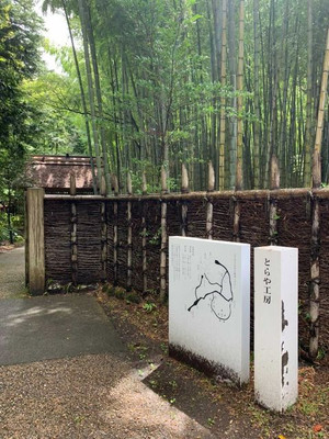 y_bo_ssaさんの写真 / 1
