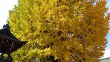 施設からの眺望 / 20