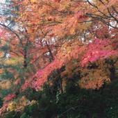 旅館 励明園（大阪府 旅館） / 5