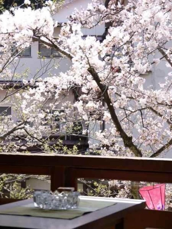 施設からの眺望