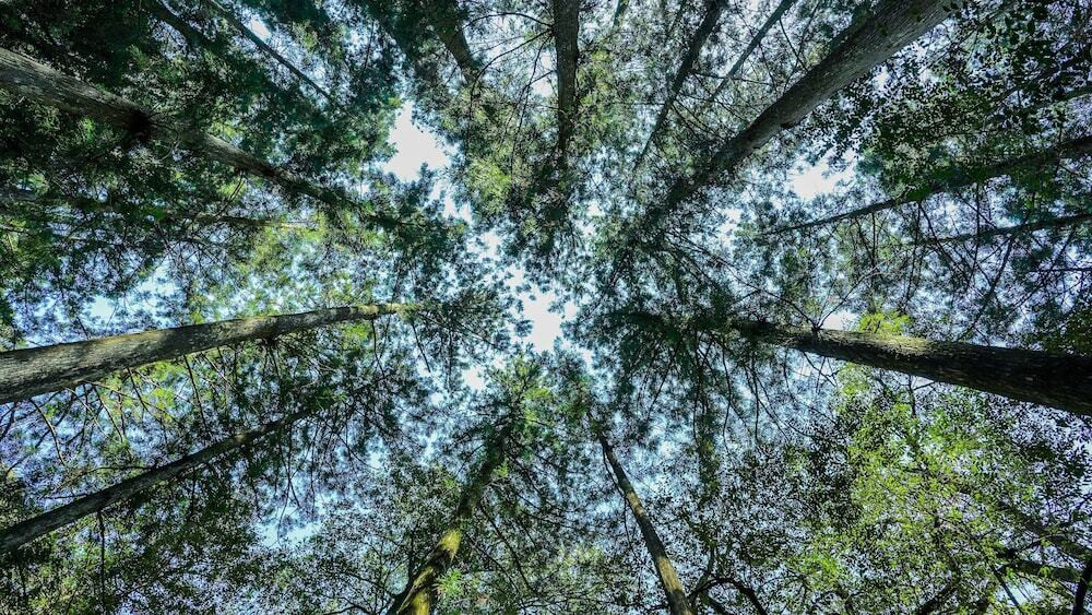 施設からの眺望