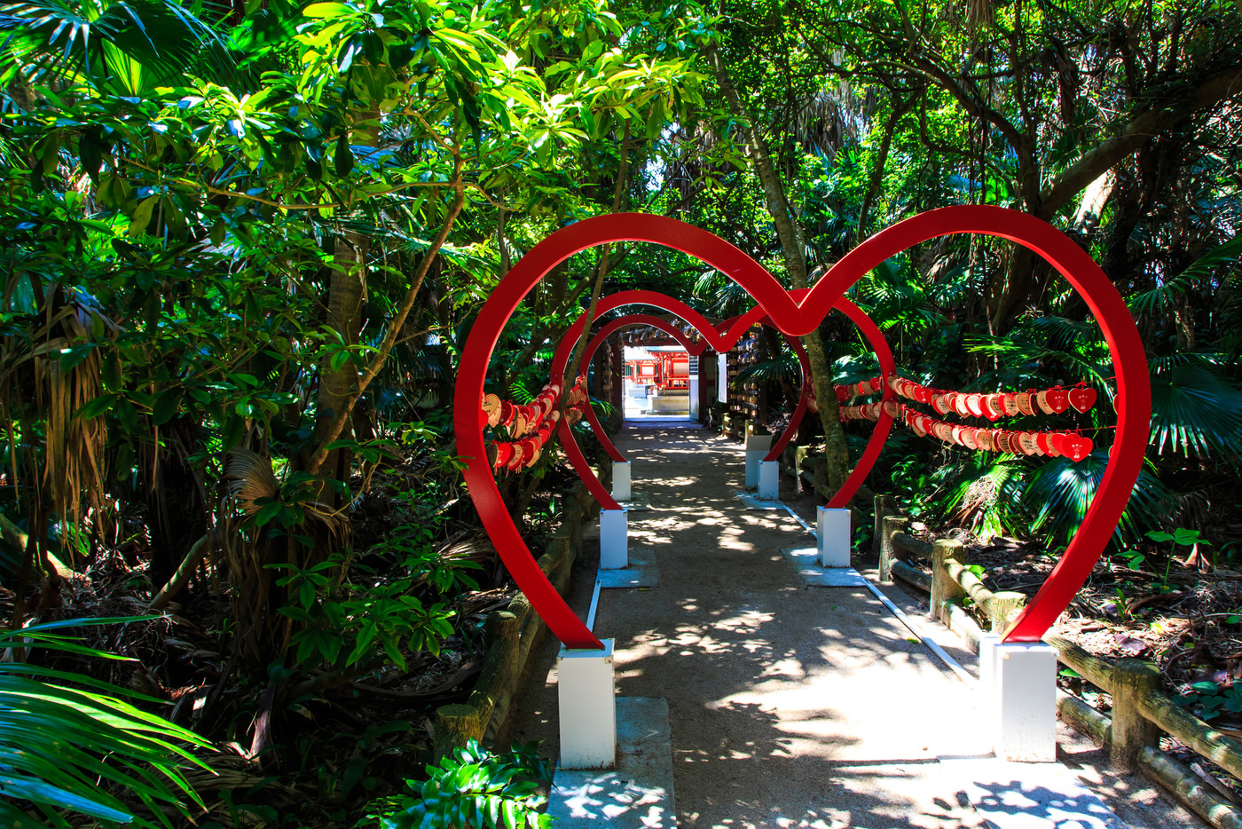 青島神社　【宮崎県宮崎市】