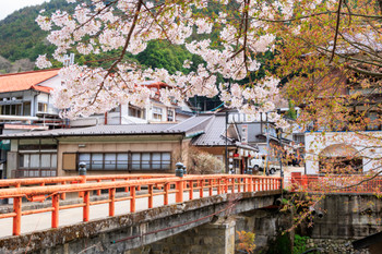 Dorogawa Onsen onsen onsen town with cherry blossoms in full bloom