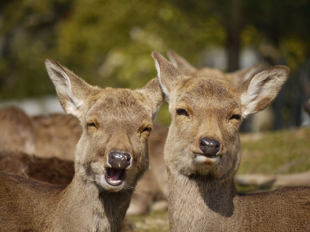 施設からの眺望