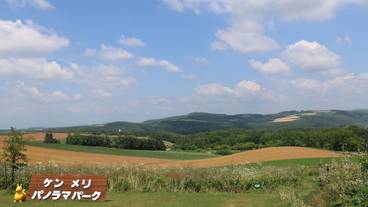 施設からの眺望 / 8