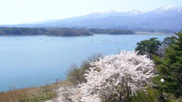 レイク ビュー / 21