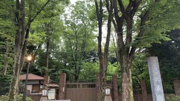 観光スポット / 7