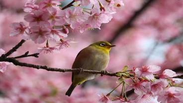 ランド ビュー / 16