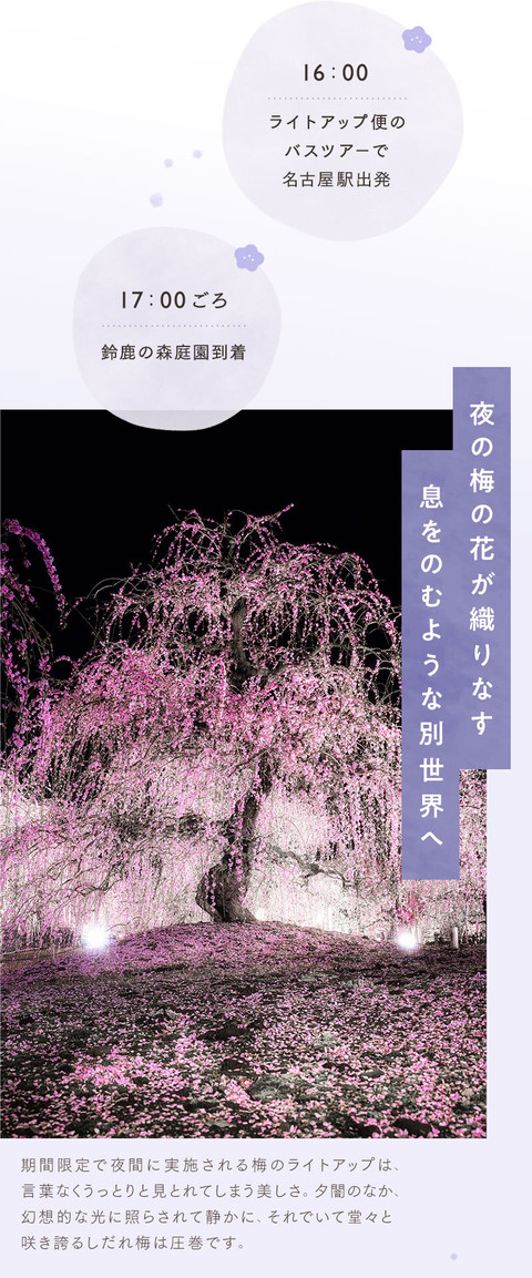 梅の花の香りに誘われて。幻想的なお花見 - 7