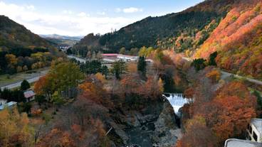 施設からの眺望 / 15