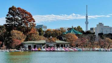 観光スポット / 2