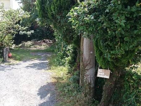 手広BeachBackpackers（奄美大島） / 2