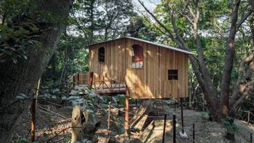 子供用の遊び場 - 屋外 / 12