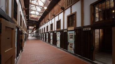 観光スポット / 8