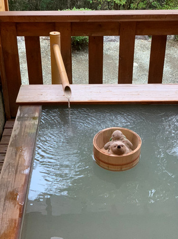 「御宿 なか田」 その他 139298505