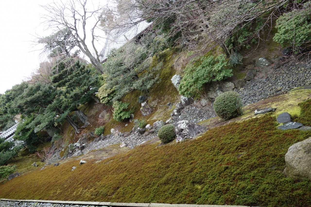 方丈　裏方丈庭園　（春・秋に期間限定公開）1021884